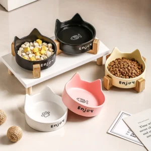 Raised Pet Food and Water Ceramic Bowl Set