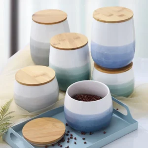 Reactive Glaze Ceramic Food Storage Container