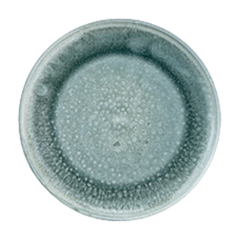 MYOUNG-Ceramic Reactive Glaze Orange Green Dinnerware Set,Manufacturers Direct Supply ,Highly Chip and Crack Resistant Plates and Bowls Set 14 reactive glaze blue pink dinnerware set green