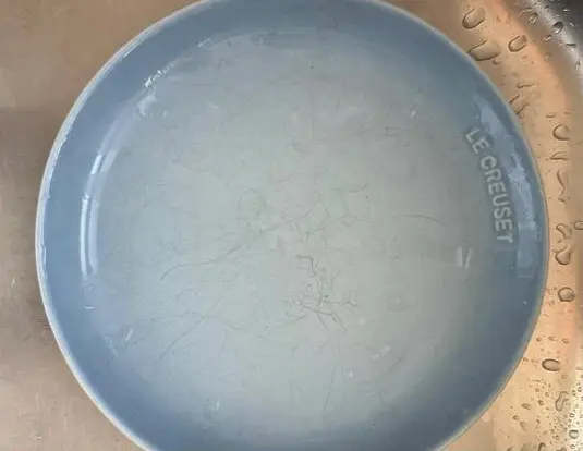 Professional analysis of ceramic plates: safety, heat resistance, quality, and Chinese manufacturing 6 ceramic dinner plates wholesale